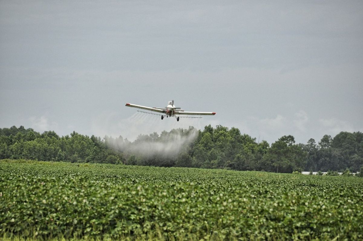 avião jogando agrotoxico.jpg