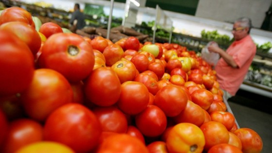 tomate-ag-diario.jpg