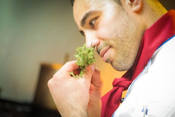 cozinheiro.jpg