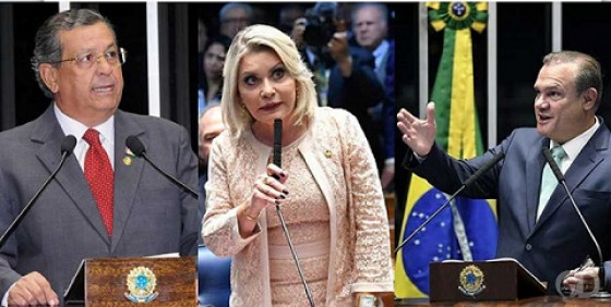 senadores mt 2