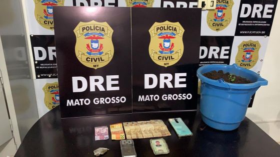 tráfico