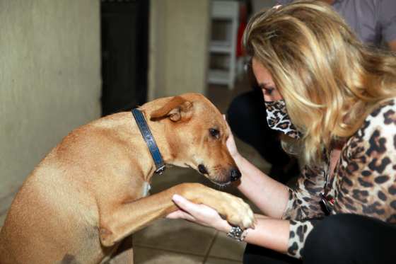 Marcia Pinheiro adota cachorro