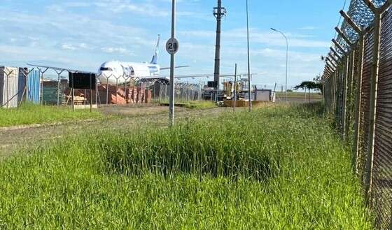 VOO CAMPINAS