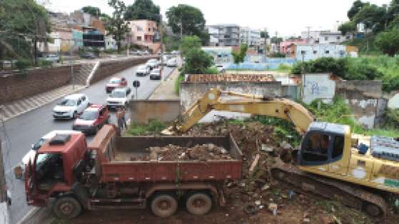 Limpeza da Ilha da Banana