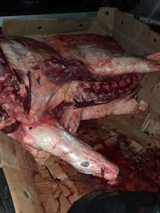 carne