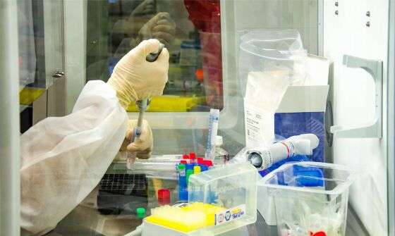 Covid coronavirus