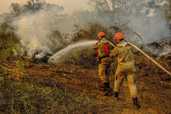 Bombeiros fogo.jpg