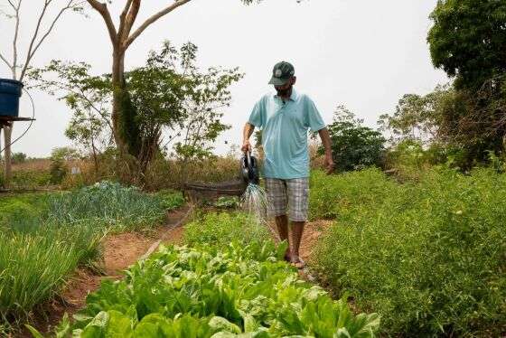Agroecologia.jpg