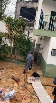 Mulher atacada rottweiler.jpg