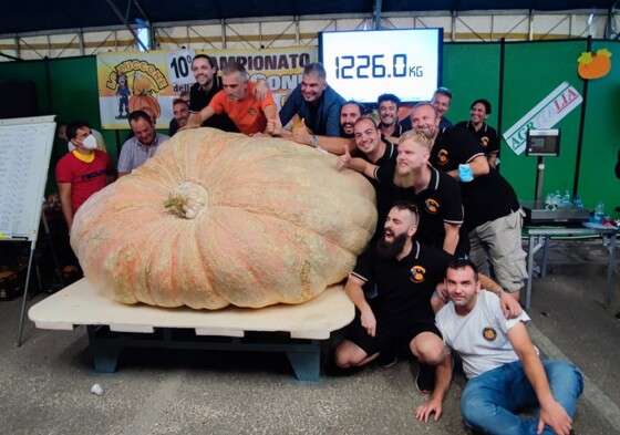 Fazendeiro na Itália bateu o recorde de abóbora mais pesada do mundo com fruto de 1,2 tonaleda