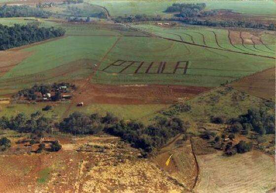 Vista aérea da expressão "PT LULA" desenhada em lavoura de soja, durante a campanha de 1989 (Rio Grande do Sul,1989)