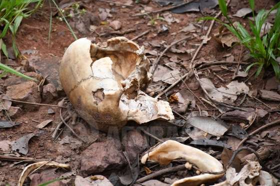 ossada humana em Rondonópolis