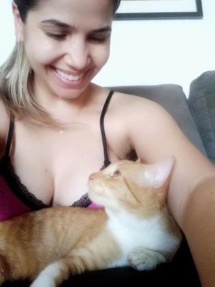 gato guapo