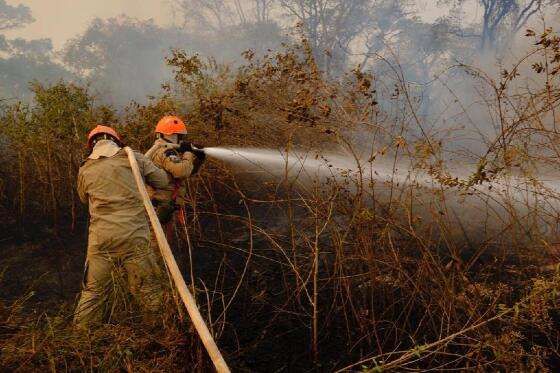 Combate aos incêndios no Pantanal, em Poconé