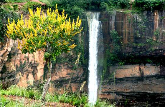 Cachoeira Véu de Noiva, no Parque Nacional de Chapada dos Guimarães