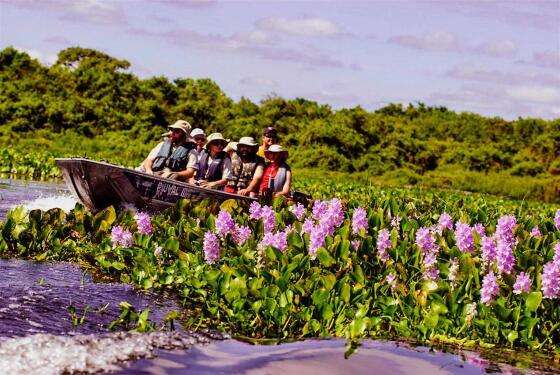 Pantanal segue como o lugar favorito dos visitantes estrangeiros.