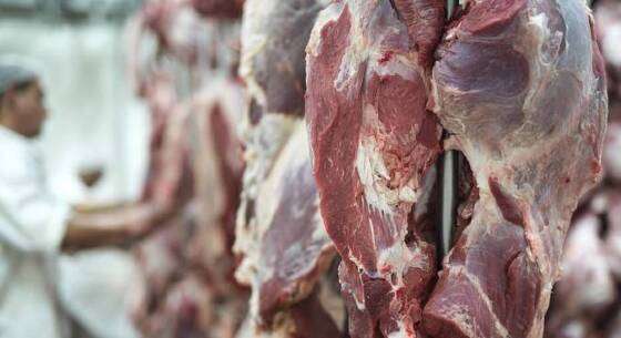 cortes-de-carne-vermelha-em-frigorifico-com-funcionario-ao-fundo-23022023121756330.jpeg