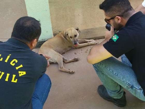Cadela foi resgatada por agentes da Polícia Civil.