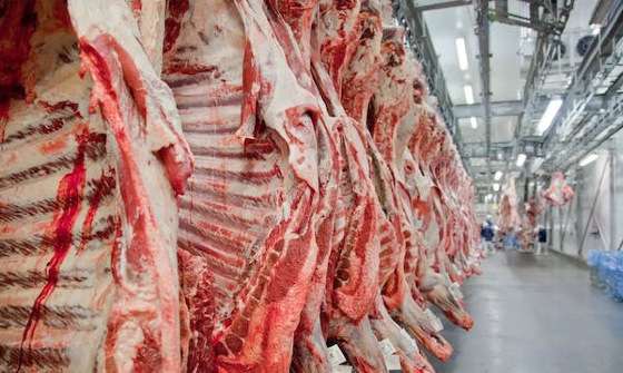 carne frigorífico.jpg