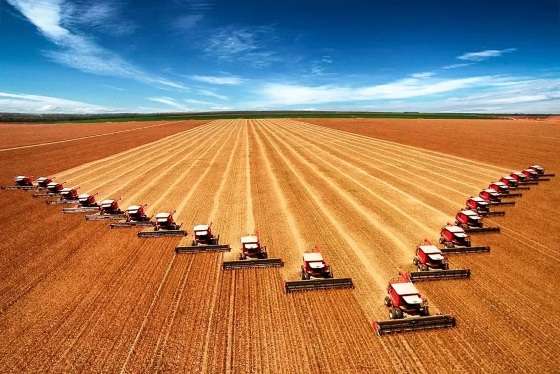Mato Grosso está entre os maiores produtores e exportadores do agronegócio brasileiro.