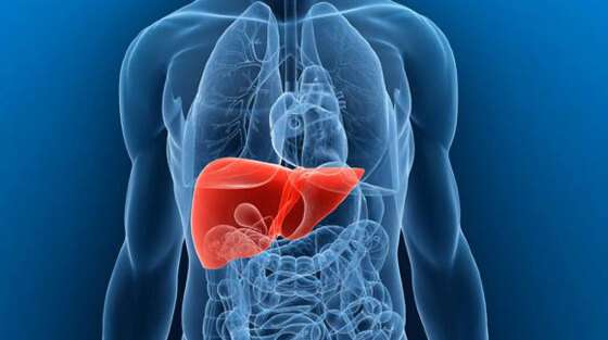 HEPATITE A.jpeg