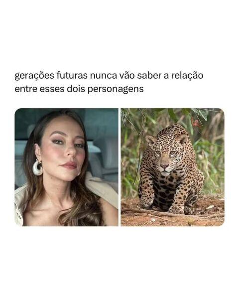 MEME