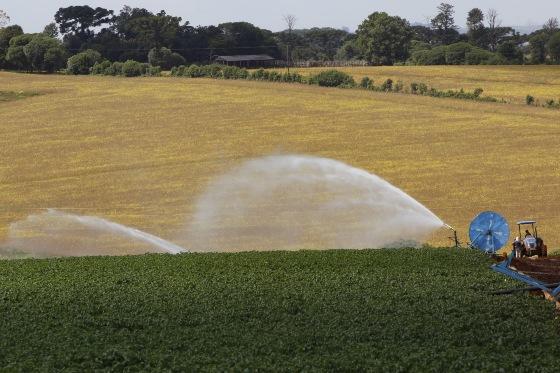 AGRICULTURA PARANÁ