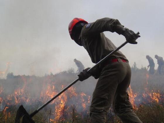 INCÊNDIO FLORESTAL BOMBEIROS PARANÁ.jpg