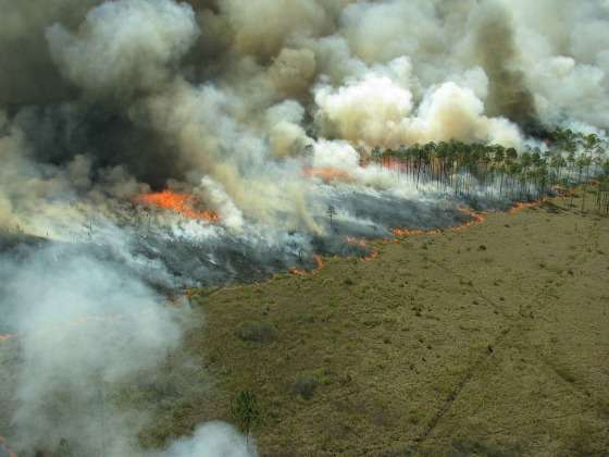 Alerta Severas secas aumentam em 900% incêndios no Pantanal