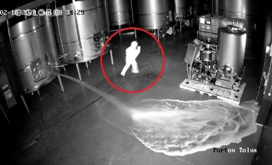 Espanhola foi presa por sabotar adega e derramar 60 mil litros de vinho. Crime aconteceu em fevereiro deste ano.