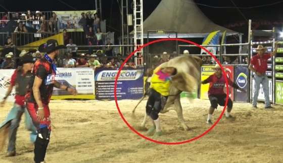 COICE TOURO PARANAÍTA.jpg