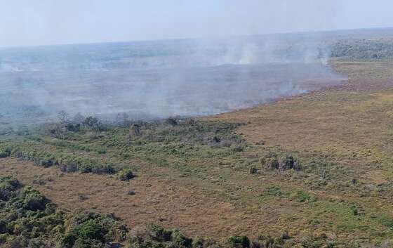 FOGO PANTANAL.jpeg