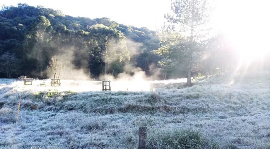 Mesmo com geadas, lavouras do Paraná mantêm grande ritmo produtivo
