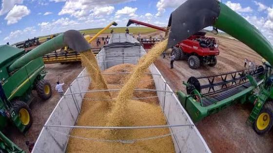 agro