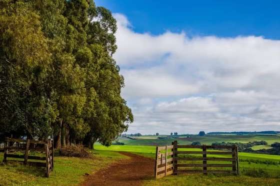 TERRA FAZENDA MATO GROSSO AGRO