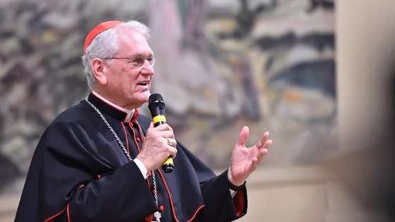 O cardeal e arcebispo de Manaus, Dom Leonardo Ulrich Steiner.