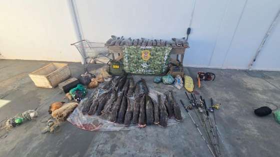 Pesca predatória