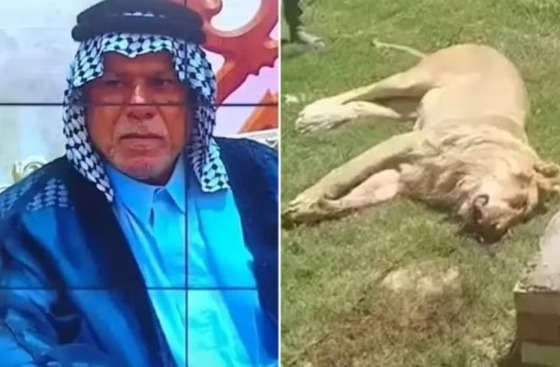 Aqil Fakhr al-Din (foto) foi morto por leão que ele tentava domesticar no jardim de casa, no Iraque.