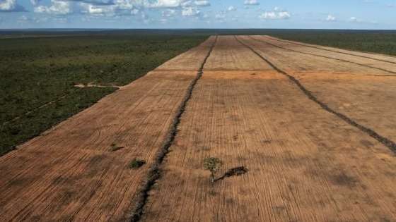 Área de Cerrado desmatada na região do Jalapão, em Tocantins.
