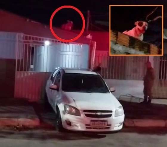 CHULIN TELHADO ALTO ARAGUAIA.jpg