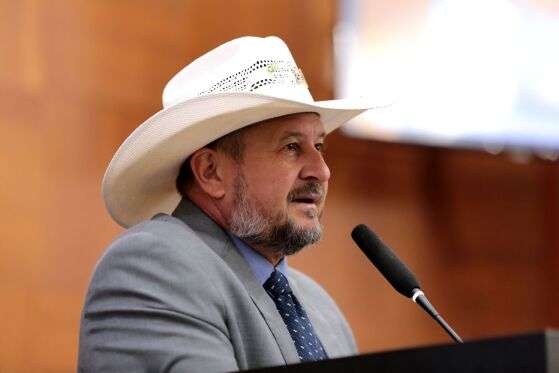 O deputado estadual Gilberto Cattani.
