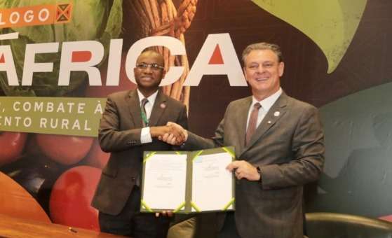 favaro na africa fórum