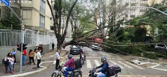 Ventania derruba árvores, deixa feridos e 100 mil sem energia na Grande SP