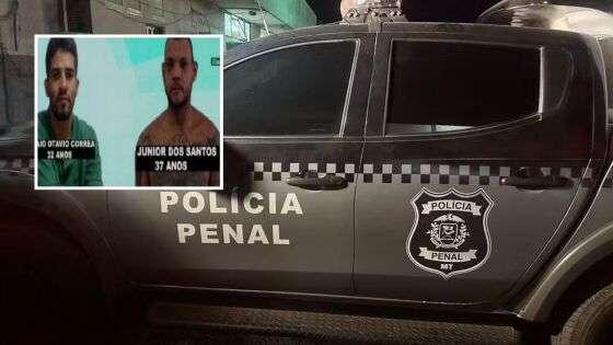 presos presos