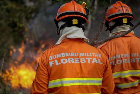 bombeiro militar florestal