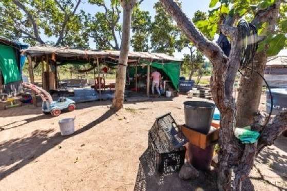 INDIGENAS WARAO EM CUIABA