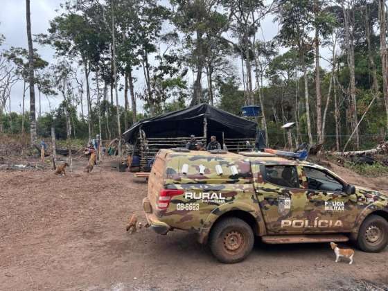 crianças em escravidao em juara