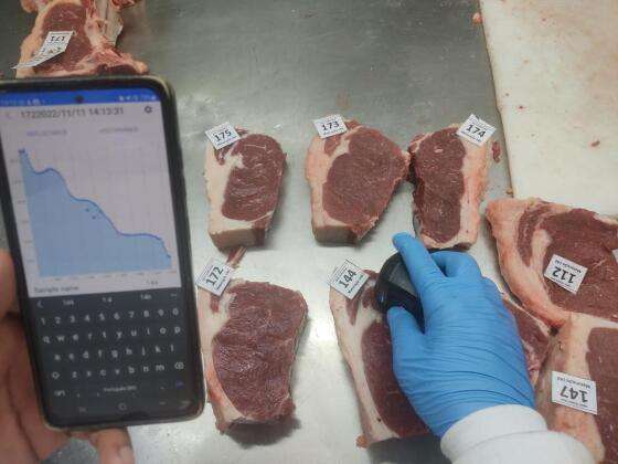 WhatsApp Image 2025-06-27 at 08.11.43.jpeg