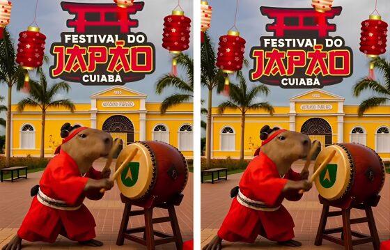 festival do japão