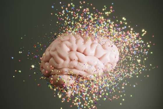 cerebro mentiras saude mental